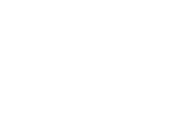 logo boreales